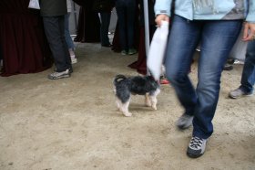 IMG_5311
