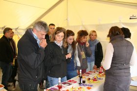 IMG_5338