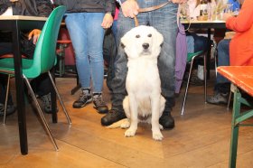 Balade_G_055